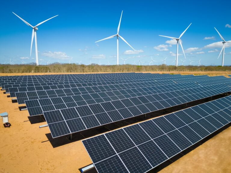 Auren Energia compartilha boas práticas de relacionamento com comunidades e a preservação da Caatinga no Brazil Energy Conference 2025